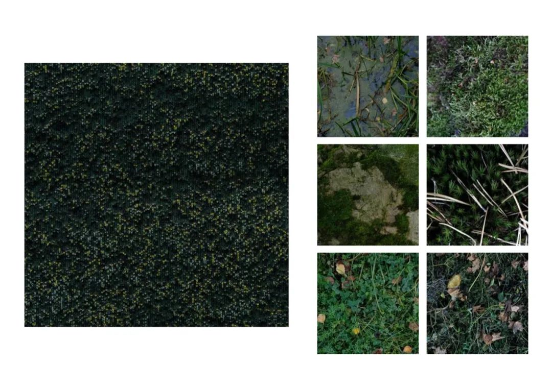 640 (9).png
